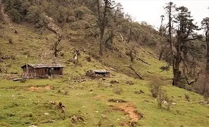 Single tea house near jungle trail on route to kanchhenjunga trek shows kanchenjunga trek difficulty in accomodation