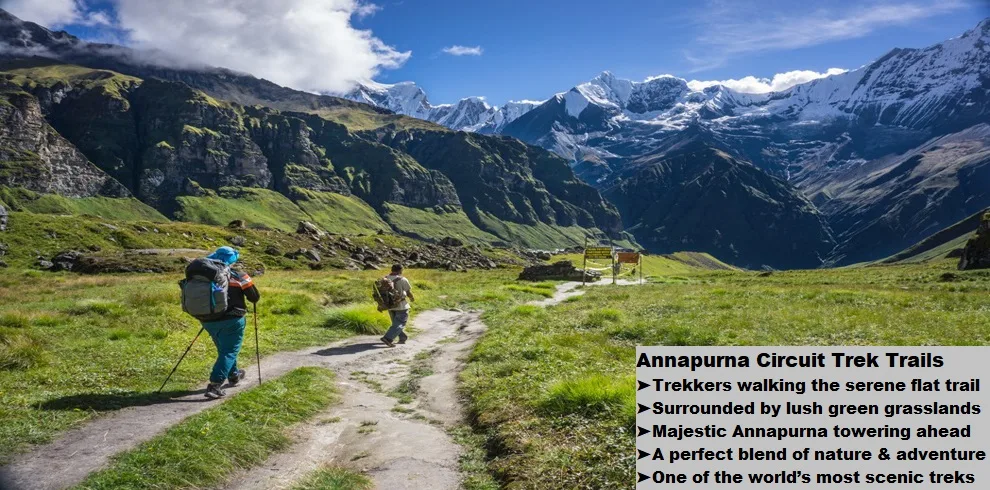 Annapurna Circuit Trek 3 Walking through greenery trail under the shadow of annapurna