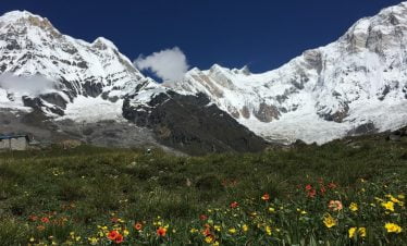 Monsoon trekking to Annapurna region has verities of flowers and stunning himalaya range