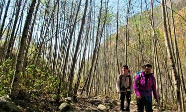 walking through the jungle in langtang valley trek- Langtang Trekking review