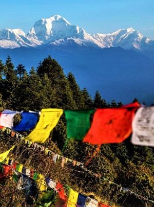 wide mountain range of dhaulagiri seen from poonhill in Nepal tour