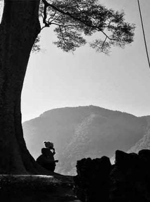 Swinging on the occasion of Tihar festival - captured on october tour of Bungmati Khokana day tour