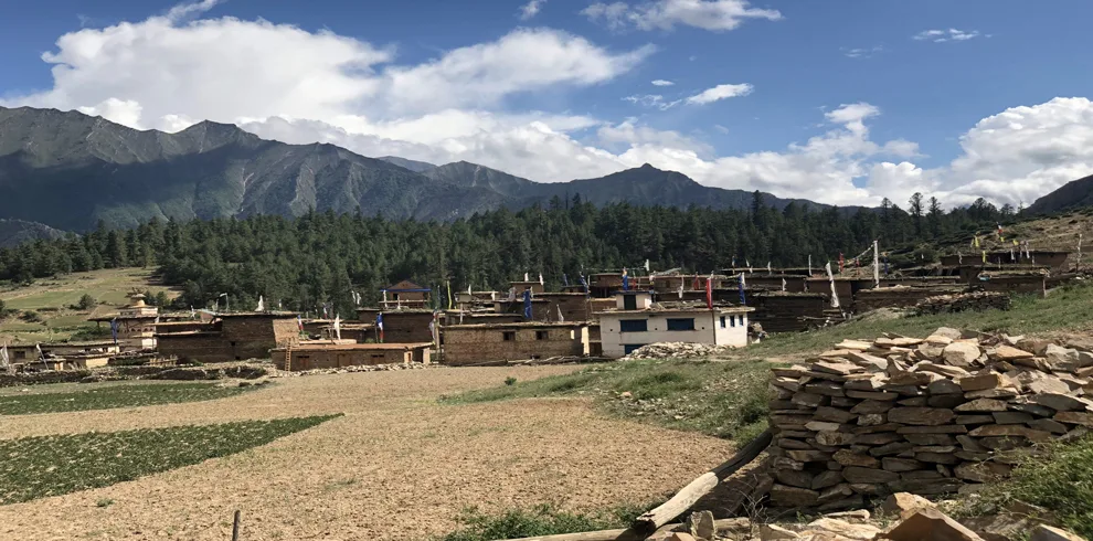 Chhepka Village shines against a backdrop of vibrant green forests and rolling hills
