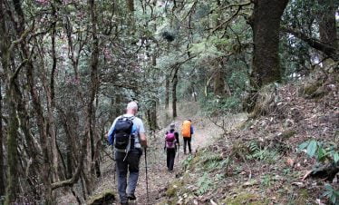 Trekking through the jungle of Khopra jungle