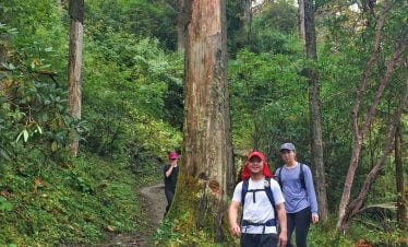 Trekkers walking through the jungle of Makalu base camp route