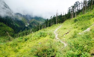 Before entering the jungle trail of makalu basecamp route