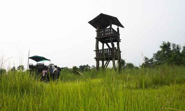 Wildlife sightseeing tower inside chitwan national park