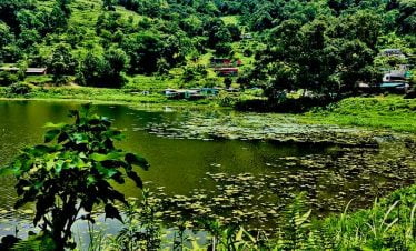 Taudaha with water lilly captured on the finish line of Champadevi day hike