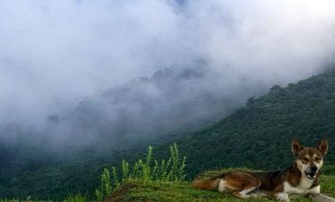 met this friend while cycling towards Chitlang organic farm