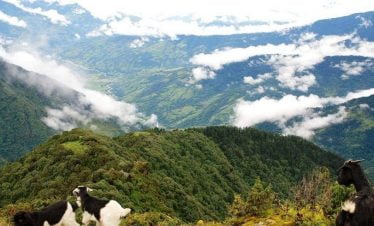 Looking down from Mane danda in our Numbur trek