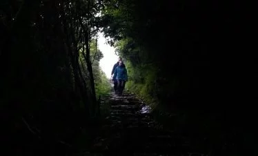 Trekkers walking downhill and about to enter the jungle