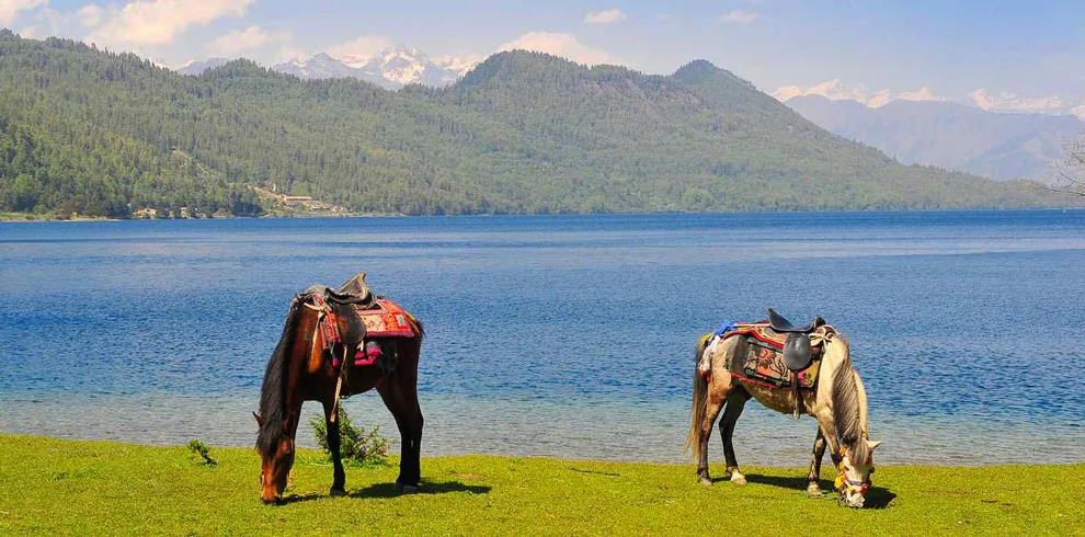 Nature’s perfect postcard - horses, hills, and the endless blue of Rara Lake