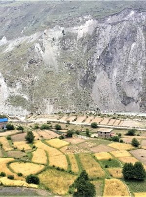 Wheat and barley field of village in lower dolpo region