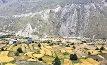 Wheat and barley field of village in lower dolpo region