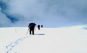 Free walking in the wide open section