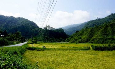 Paddy field captured on our Rampur village charity tour in nepal