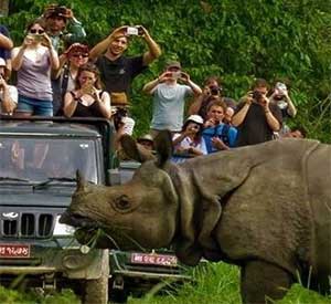 Wildlife safari is possible all around Nepal but destination chitwan is famous and old of all