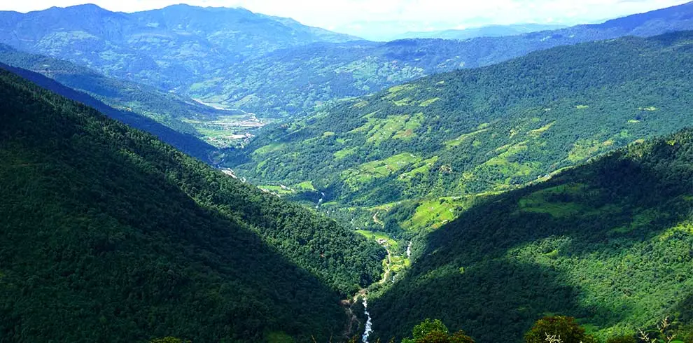Grennery of the river valley seen in our second day trek