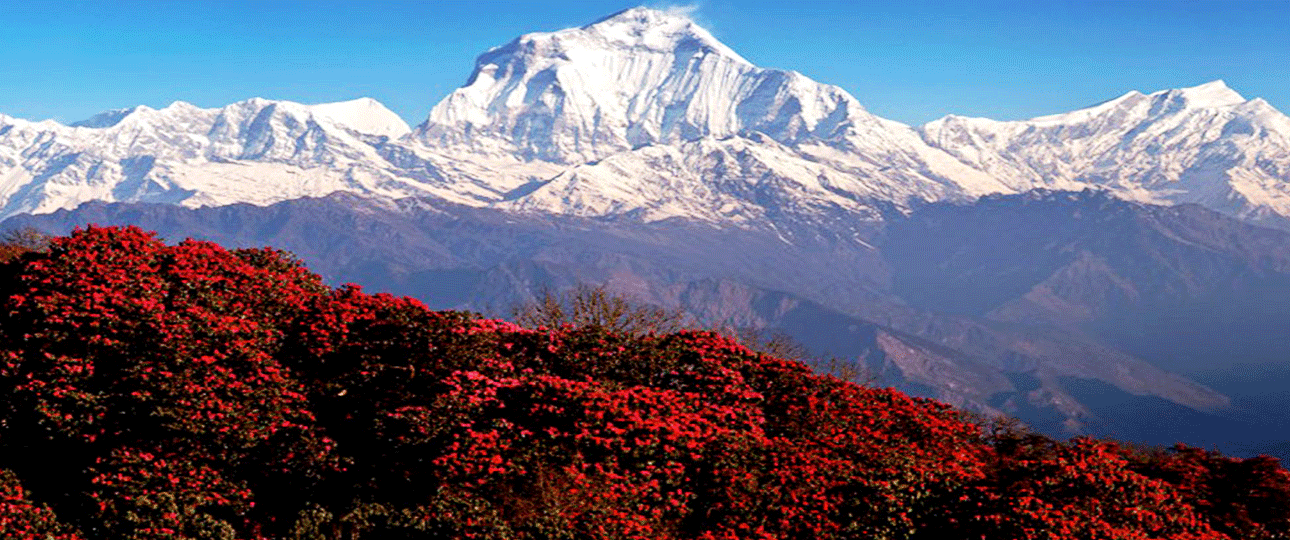 Ghorepani Ghandruk Hike – Self Guided Trekking Trip 4 Ghandruk village hike