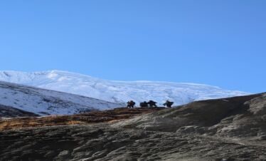 Tilicho Base Camp trek