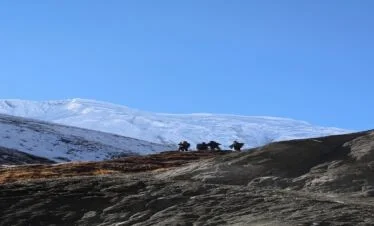 Tilicho Base Camp trek