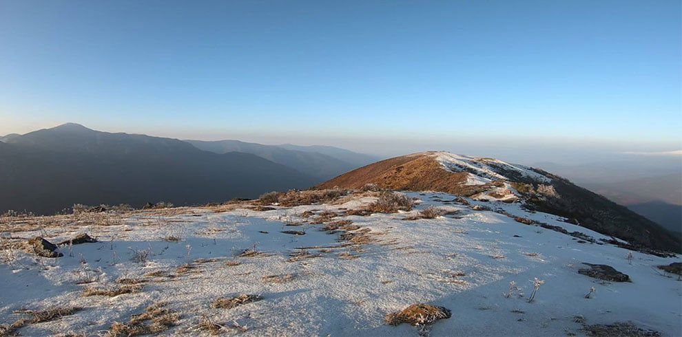 the snowy trail