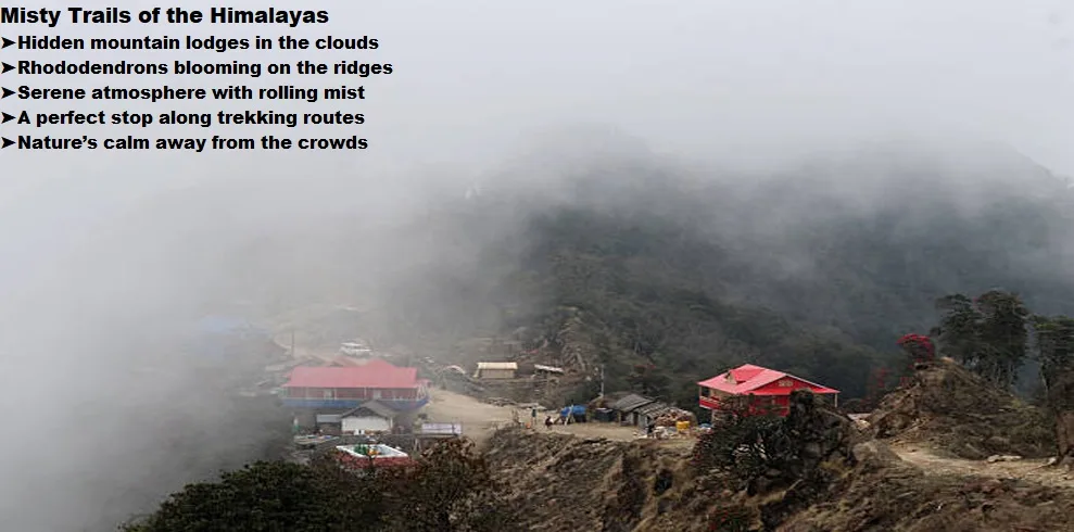 Chautara Panchpokhari Trekking 4 A serene landscape of panchpokhari, located in the tinjure-milke-jaljale (tmj) area, covered in thick fog.