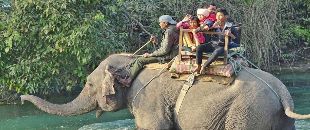 people riding elephant in bardiya national park