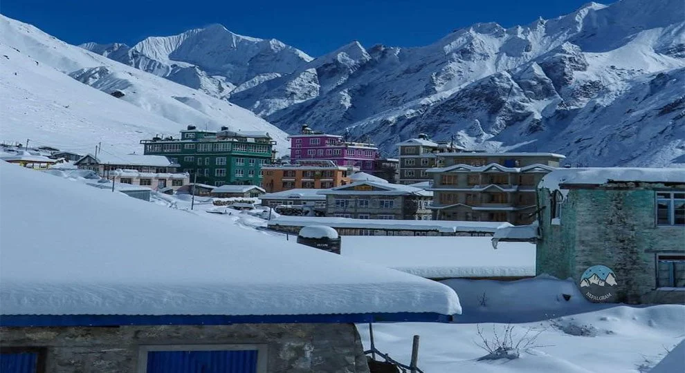 kyanjing village in winter trek of langtang valley