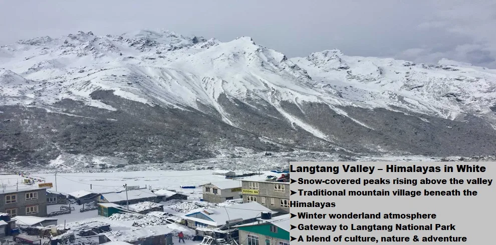 Langtang Valley Trek 6 Life in the himalayas — where villages rest beneath snow-clad giants.