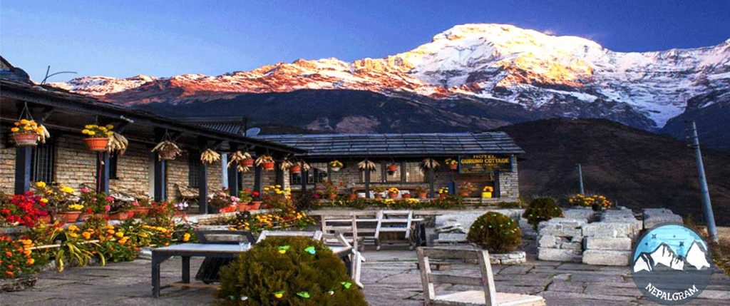 Ghorepani Ghandruk Hike – Self Guided Trekking Trip 3 Ghorepani ghandruk hike