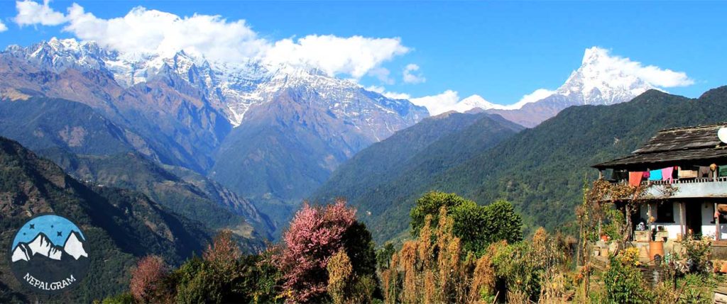 Ghorepani Ghandruk Hike – Self Guided Trekking Trip 5 Ghorepani ghandruk hike