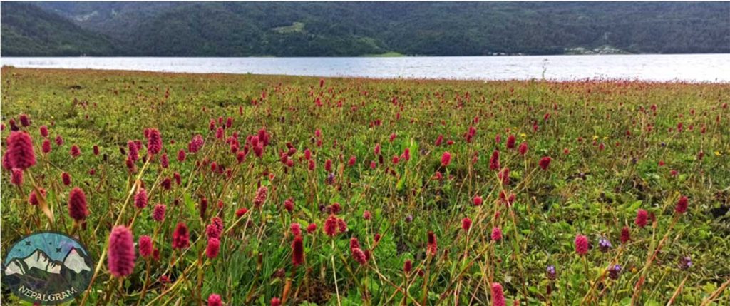 Rara national park
