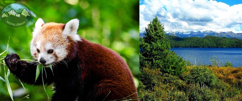 Rara national park
