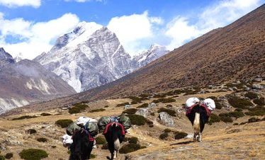 main transport sources in himalayan region