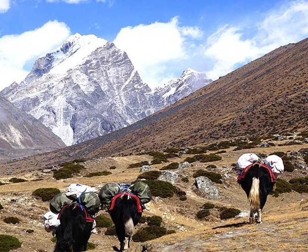 main transport sources in himalayan region