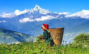 Australian Camp Hiking