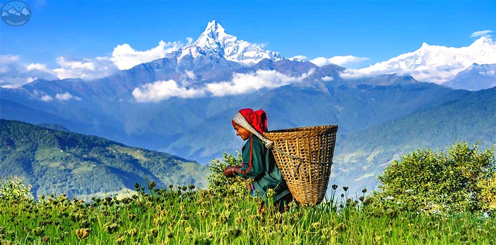 Australian Camp Hiking