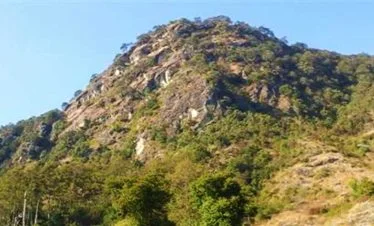 Tarebhir
