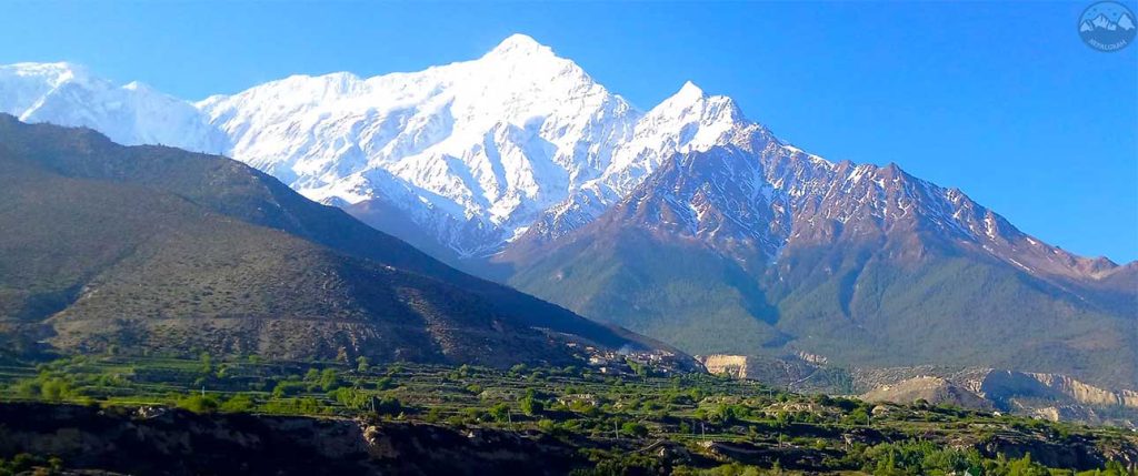 Upper mustang for 12 1