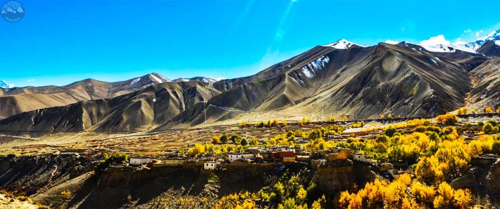 Upper mustang yaraghara 3