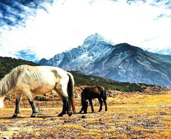 Mustang trek