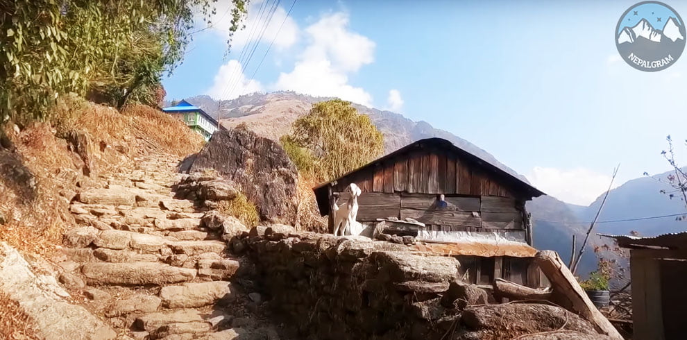 Poonhill hot spring trek