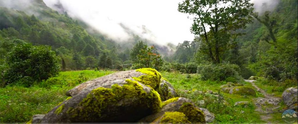 Tsho Rolpa Lake Trek 3 Tsho rolpa lake trek