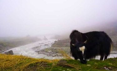 Tsho Rolpa Lake trek