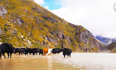 kanchenjunga basecamp trekking by overland
