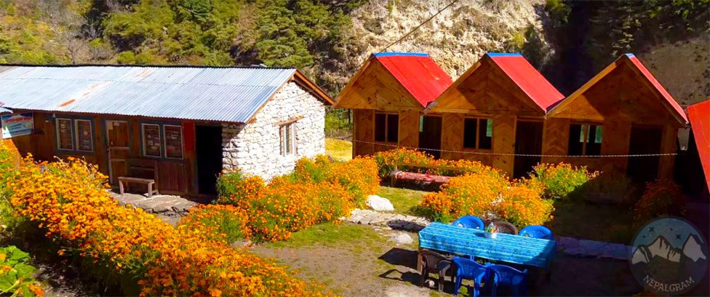 Manaslu Cultural Circuit Trek 2 We can get a comfortable tea house and lodge on the trek.