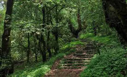 Bishnudwar Day Hiking 5 Through the green embrace of shivapuri’s forest, the trail to bishnudwar unveils the sacred source of the bagmati river.