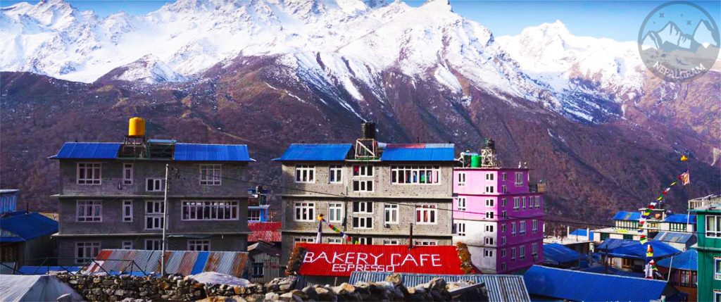 Langtang trek