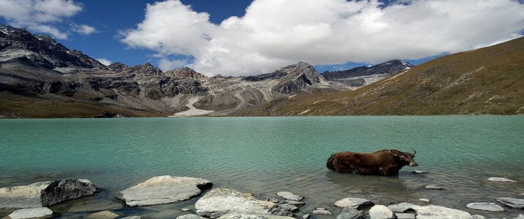 Glacial lake trek in nepal